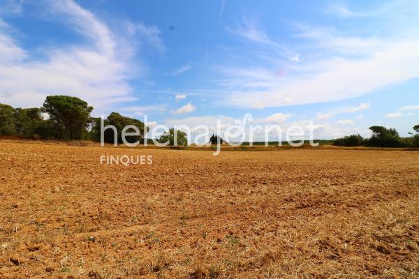 Masía en Sils