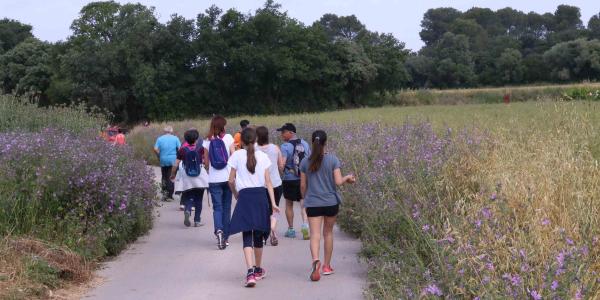 Cinc anys caminant pel càncer a Parlavà