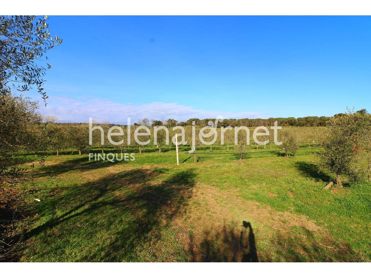 Excellent rustic estate with a renewed 563 m2 farmhouse and 4.8 hectares of land. - 1577